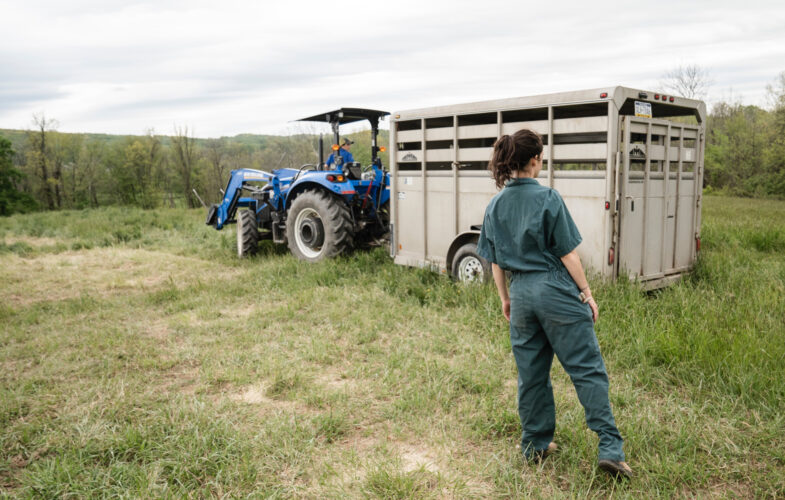 Top 7 Small Farm Tools and Equipment